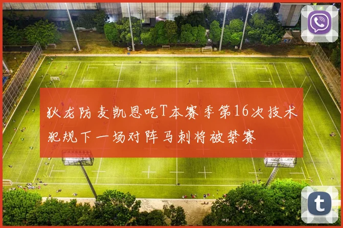 狄龙防麦凯恩吃T本赛季第16次技术犯规下一场对阵马刺将被禁赛