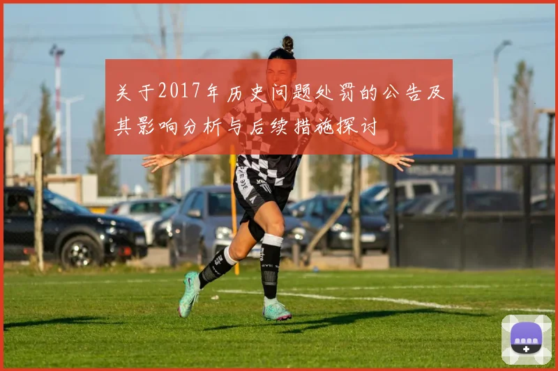 关于2017年历史问题处罚的公告及其影响分析与后续措施探讨